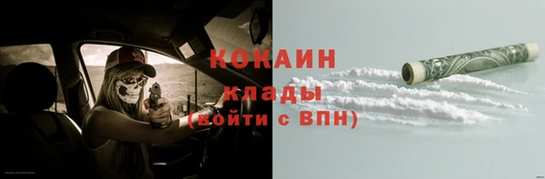 дживик Алзамай