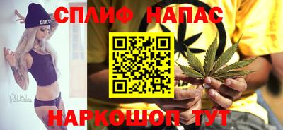 МДПВ Гай