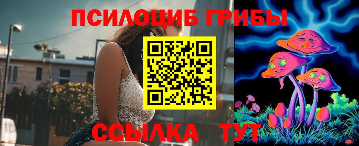 Псилоцибиновые грибы мицелий Новозыбков