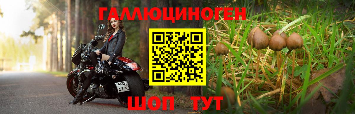 Псилоцибиновые грибы Cubensis  Галлюциногенные грибы Psilocybine cubensis  Вход с VPN  Новозыбков 
